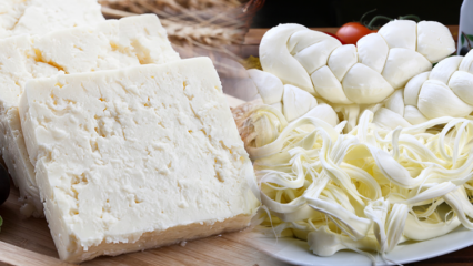 Come capire il buon formaggio? Suggerimenti per la scelta del formaggio