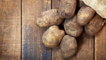 Come vengono conservate le patate?