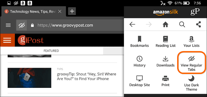 Silk Browser Navigazione privata