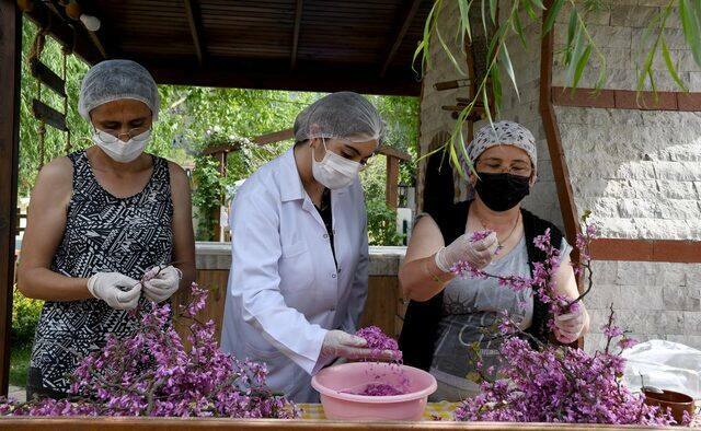 Come preparare la marmellata di fiori redbud più semplice? Suggerimenti per la marmellata di fiori di redbud