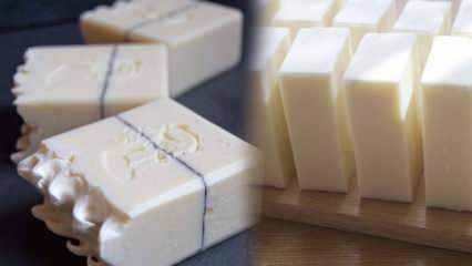 Cos'è il sapone castigliano? Come usare il sapone castigliano? Benefici del sapone di Castiglia