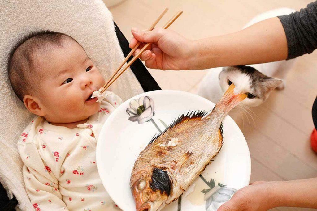 dare da mangiare al bambino