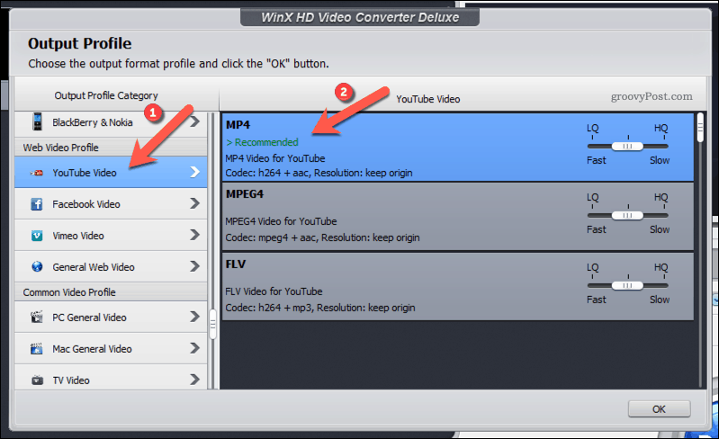 Selezione di un profilo di output MP4 compatibile con YouTube in WinX