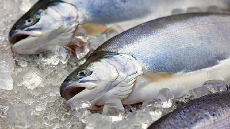 Il gusto del pesce gettato nel congelatore cambia?