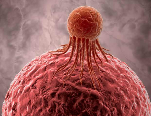 le cellule tumorali influenzano negativamente altre cellule sane