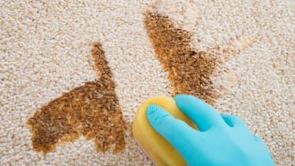 Come fare lo spray per la pulizia dei tappeti a casa?