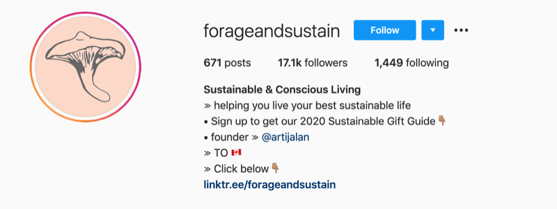 esempio di profilo Instagram da @forageandsustain con una nota nelle informazioni del profilo per fare clic sul collegamento bio per ulteriori informazioni