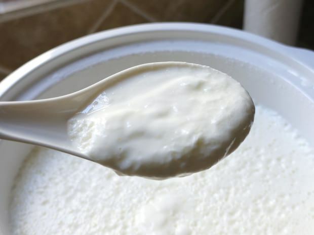 ricetta yogurt più semplice