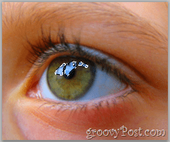 Nozioni di base di Adobe Photoshop - Human Eye selezionare il riflesso