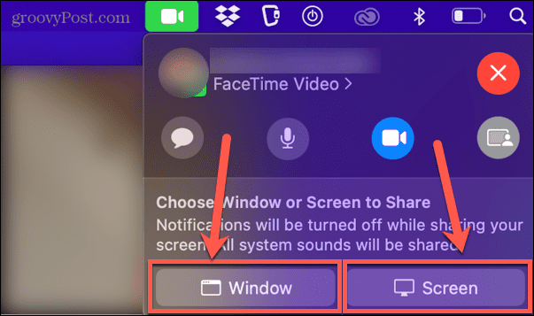 finestra facetime o condivisione dello schermo