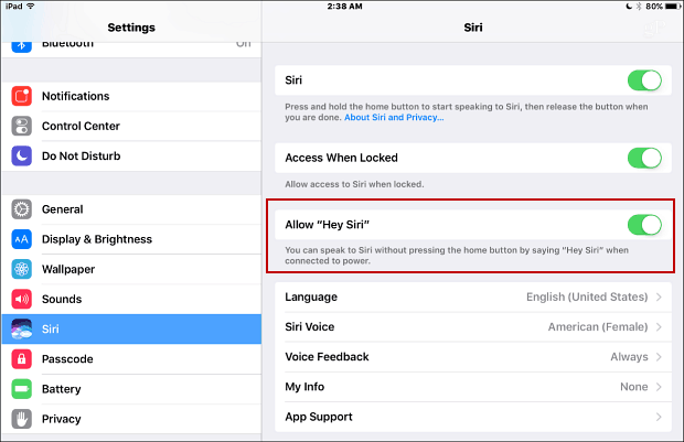 iPad-mini-Siri-settings