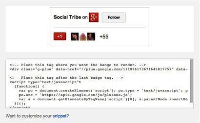 esempio di codice badge google +