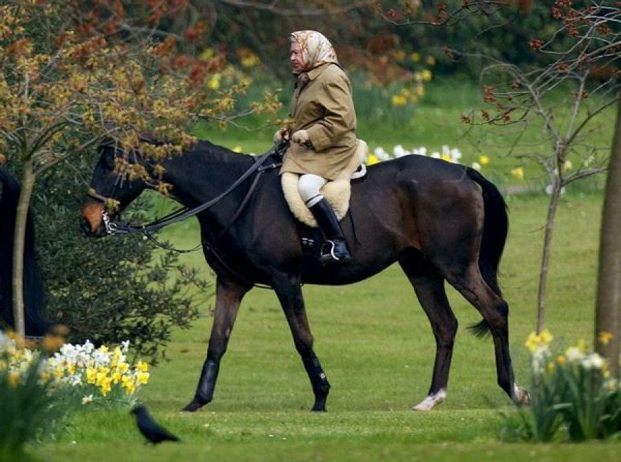 Regina Elisabetta a cavallo 