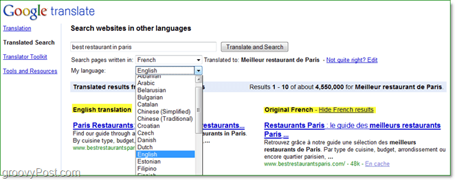 cercare pagine Internet in diverse lingue e leggerle nel proprio utilizzando il traduttore tradotto da Google