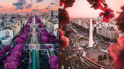 La città del bel tempo: i luoghi da visitare a Buenos Aires!