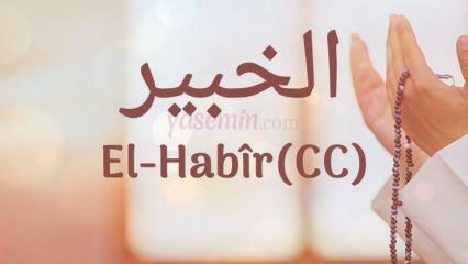 Cosa significa al-Habir (c.c)? Quali sono le virtù del nome Al-Habir? Esmaul Husna Al-Habir...