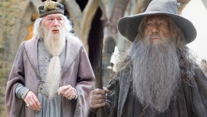 Gandalf in Il Signore degli Anelli e Albus Silente in Harry Potter sono la stessa persona?