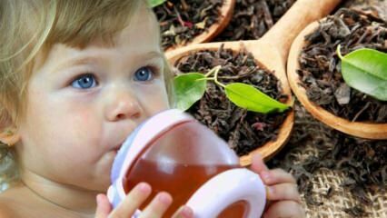 I bambini possono bere il tè?