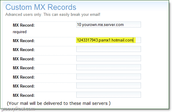 oltre le informazioni del server mx dei servizi live nella pagina delle opzioni avanzate del dominio per i record mx personalizzati