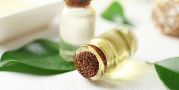 Quali sono i benefici della crema all'olio dell'albero del tè per la pelle? Raccomandazioni per l'uso della crema di olio di melaleuca
