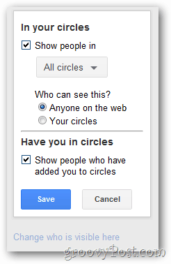 google + profilo cerchia display config