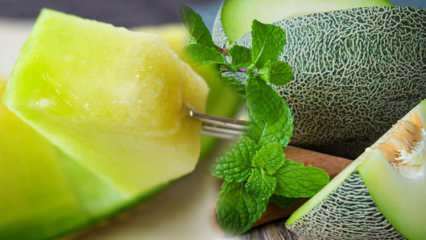 Il melone può ingrassare, quante calorie può melonare? Metodo di perdita di peso con dieta al melone! 5 chili in 5 giorni ...