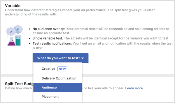 Variabile del test di divisione dell'annuncio di Facebook