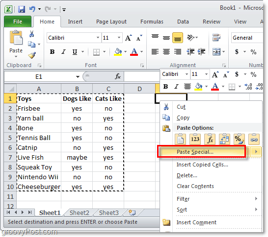 incolla funzione speciale di Excel 2010