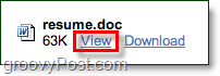 visualizza i file .doc in gmail