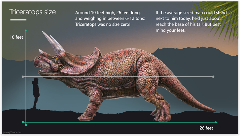 Presentazione del triceratopo