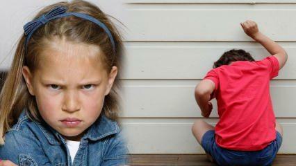 Come affrontare il problema della rabbia nei bambini? Causa di rabbia e aggressività nei bambini 