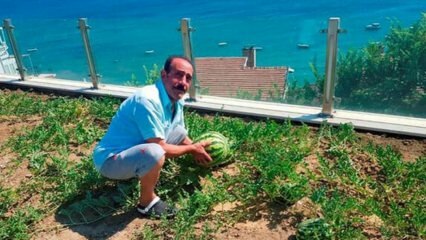 Mustafa Keser coltiva un'anguria!