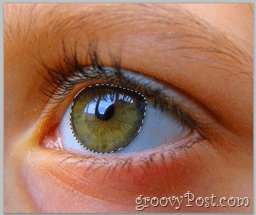 Nozioni di base di Adobe Photoshop - Human Eye seleziona l'intero livello degli occhi