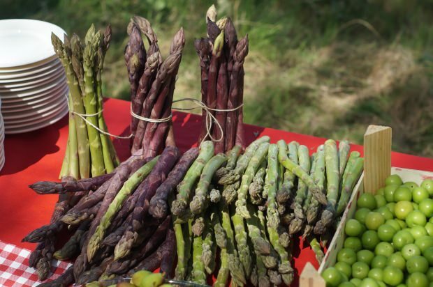 Quali sono i benefici degli asparagi