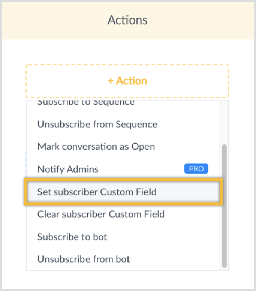 Fare clic sul pulsante + Azione e selezionare Imposta campo personalizzato abbonato.