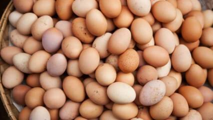 Cosa dovrebbe essere considerato quando si sceglie un uovo?