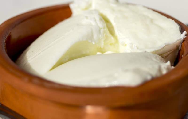 Quali sono i benefici dello yogurt di bufala? Come preparare lo yogurt di bufala e cosa fa