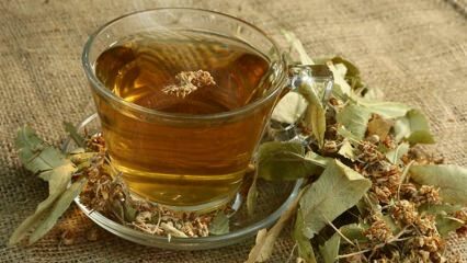 Quali sono i benefici del tiglio? Per quali malattie è buono? Come preparare il tè al tiglio?