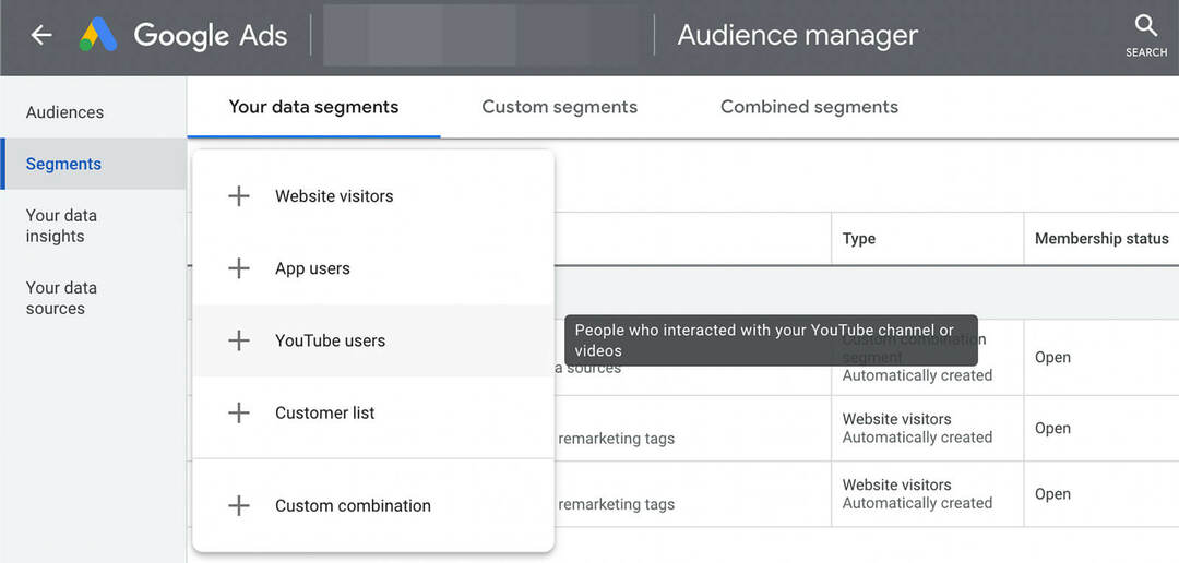 cos'è-youtube-audience-targeting-google-ads-data-segments-example-2