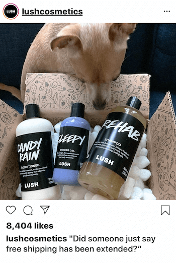 Post aziendale di Instagram con il cane