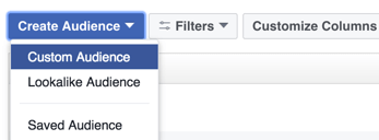 Fare clic sull'opzione per creare un pubblico personalizzato di Facebook.