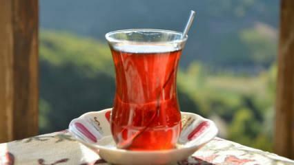 Come si fa a sapere se il tè è di buona qualità? Modi per capire la qualità del tè