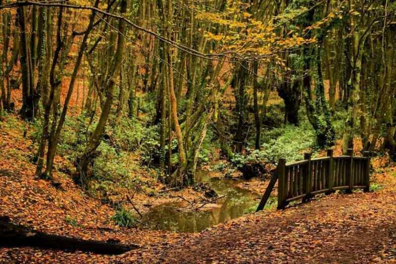 Parco naturale di Polonezköy