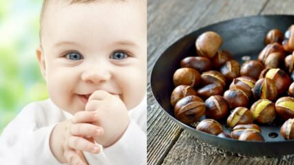 Saraçoğlu ha spiegato i vantaggi della castagna! Quanti mesi il bambino può mangiare le castagne? La castagna produce gas nel bambino?