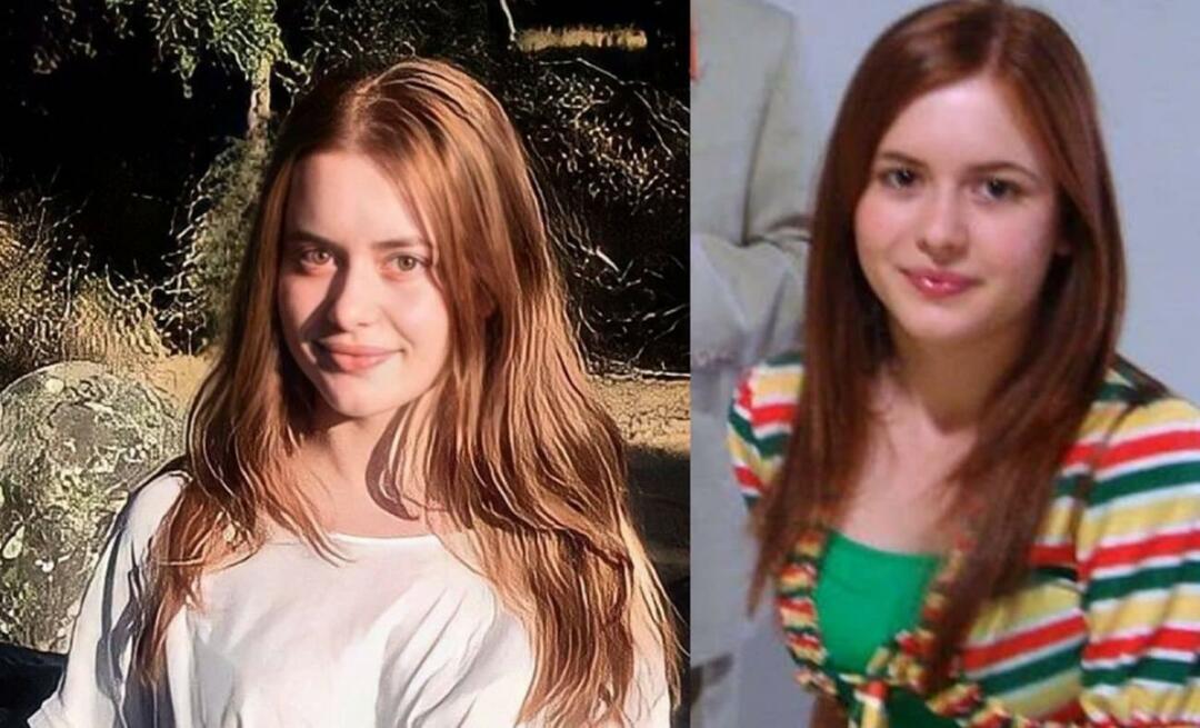 Dov'è Selin della serie TV Selena? Cansu Demirci è morto? Quelle accuse divennero l'ordine del giorno