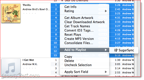 Aggiunta di una playlist a SugarSync in iTunes