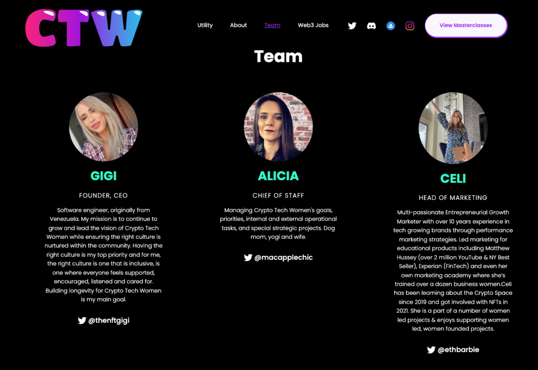 lezioni-imparate-dal-progetto-nft-launch-build-website-dox-team-build-trust-prospective-backers-incluso-twitter-instagram-lindedin-ctw-example-2