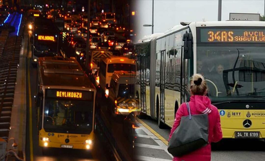Quali sono le fermate del Metrobus e i loro nomi? Quanto costa la tariffa Metrobus 2023?
