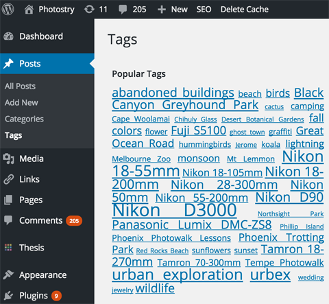 categorie e tag in wordpress