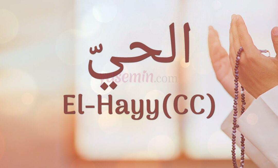 Cosa significa El-Hayy (cc) da Esma-ul Husna? Quali sono le virtù di Al-Hayy (cc)?